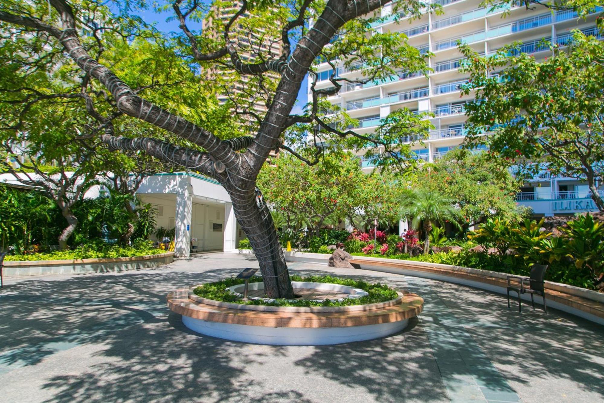 Ilikai Tower 2109 City View 2Br Honolulu Luaran gambar